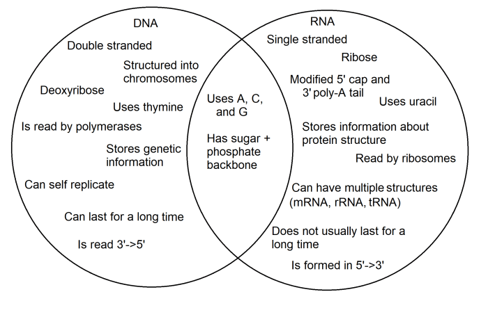 Rna venn comparing