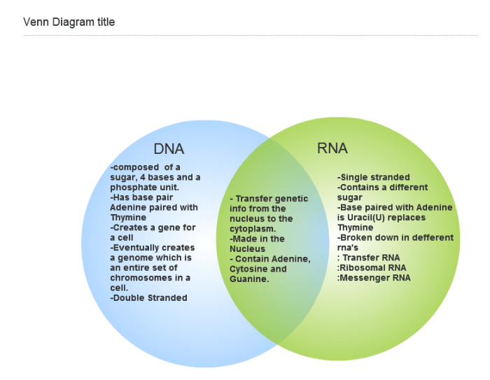 Dna and rna venn diagram