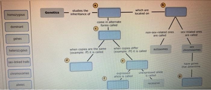 Clonal selection