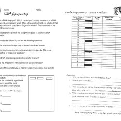 Electrophoresis answer webquest